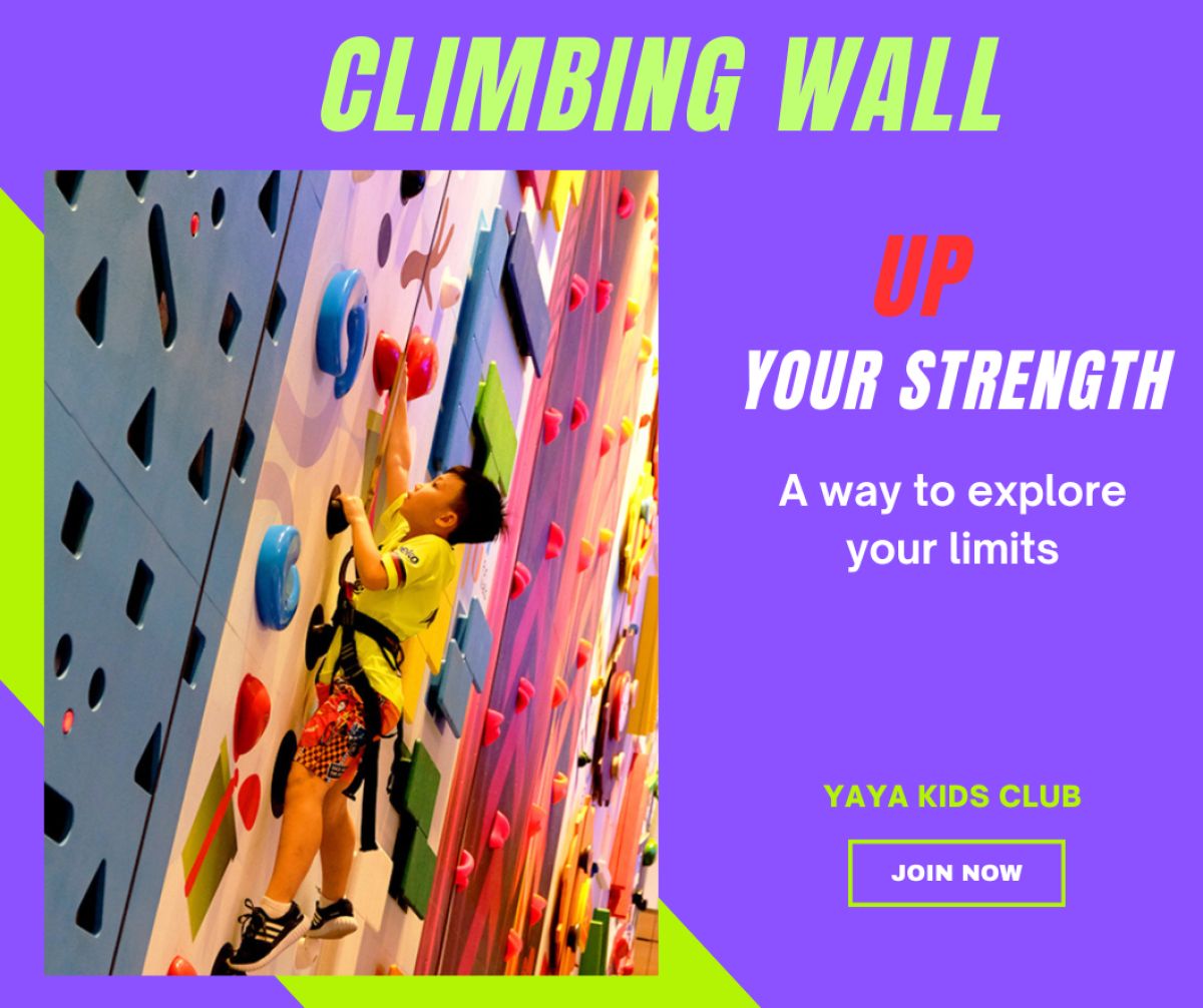 Cùng con rèn luyện thể chất, kỹ năng mềm với tường leo – Climbing Wall